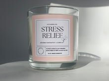 Load image into Gallery viewer, Street Relief