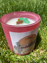 Load image into Gallery viewer, Baja Cactus Blossom