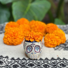 Load image into Gallery viewer, Taza Calavera
